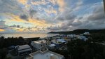 IMG_0101