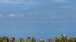 IMG_0153