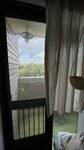 IMG_1109