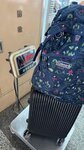 IMG_1136
