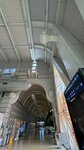 IMG_1141