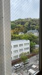 IMG_4841