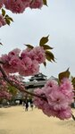 IMG_4948