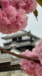 IMG_4949