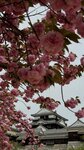 IMG_4953