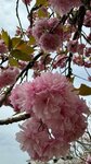 IMG_5048