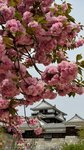 IMG_5049