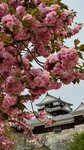 IMG_5050