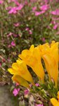 IMG_5057