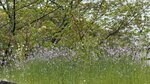IMG_5064
