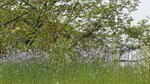 IMG_5065
