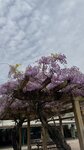 IMG_5088
