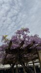 IMG_5089