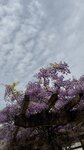 IMG_5090
