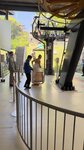 IMG_5541