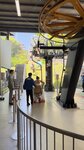 IMG_5542