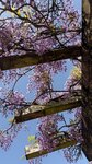 IMG_5582