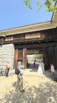 IMG_5589