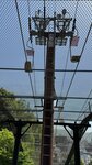 IMG_5778