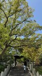 IMG_5780