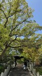 IMG_5781