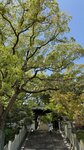IMG_5782