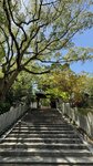 IMG_5785