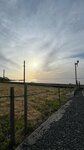 IMG_5924
