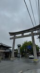 IMG_6549