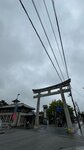 IMG_6550