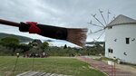 IMG_7121