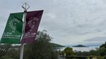 IMG_7310