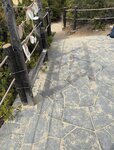 IMG_7391