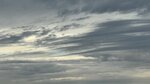 IMG_7477