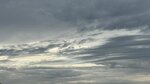 IMG_7478
