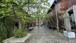 IMG_7495