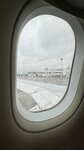 IMG_7869