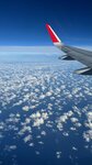 IMG_7875