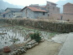 kwan123