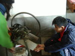 kwan157