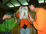 DSCF0593