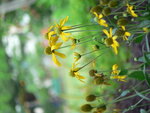 P1000404