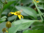 P1000407