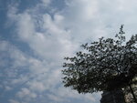 IMG_7177