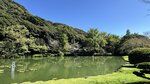 IMG_7373