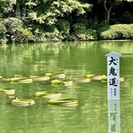 IMG_7375