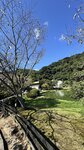 IMG_7513