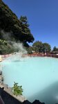 IMG_7520