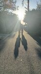 IMG_7649