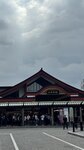 IMG_7951